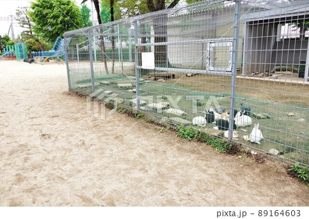 小学校 小学校 89164603