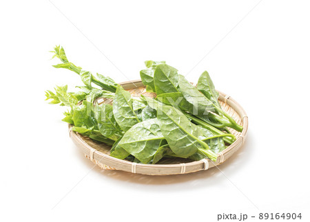 ツルムラサキ 葉物野菜 つるむらさき 緑黄色野菜 健康野菜 採れて新鮮野菜 ツルムラサキ 葉物野菜 つるむらさき 緑黄色野菜 健康野菜 採れて新鮮野菜 89164904