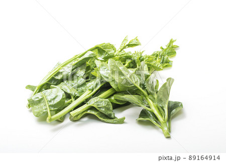 ツルムラサキ 葉物野菜 つるむらさき 緑黄色野菜 健康野菜 採れて新鮮野菜 ツルムラサキ 葉物野菜 つるむらさき 緑黄色野菜 健康野菜 採れて新鮮野菜 89164914