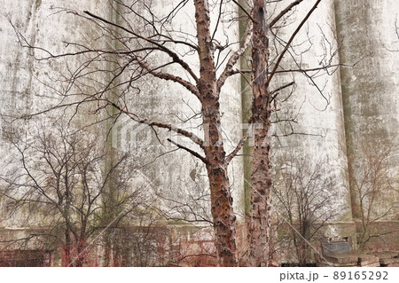 Spooky Creepy Details of Concrete Wall with Bare Trees on a Atmospheric Dreary Day Spooky Creepy Details of Concrete Wall with Bare Trees on a Atmospheric Dreary Day 89165292