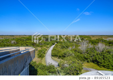 エバーグレーズ国立公園のシャークバレー展望台から見た景色（フロリダ州、アメリカ） 89165523