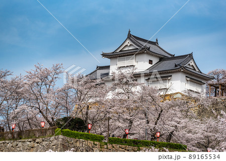 鶴山公園津山さくらまつり~津山城備中櫓~ 鶴山公園津山さくらまつり~津山城備中櫓~ 89165534