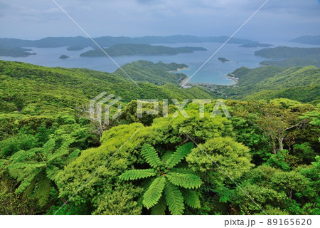奄美大島 高知山展望所 初夏の風景 奄美大島 高知山展望所 初夏の風景 89165620