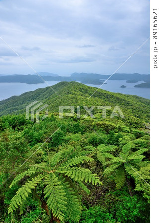奄美大島 高知山展望所 初夏の風景 奄美大島 高知山展望所 初夏の風景 89165621