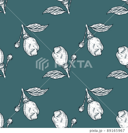 Seamless pattern engraved lemon on branch with leaves. Vintage background lime growing on twig in hand drawn style. Seamless pattern engraved lemon on branch with leaves. Vintage background lime growing on twig in hand drawn style. 89165967