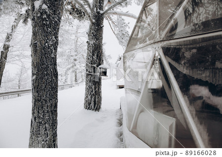 Glamping area with part of dome tent and a bird feeder on tree in the snowy winter forest Glamping area with part of dome tent and a bird feeder on tree in the snowy winter forest 89166028