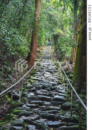 熊野磨崖仏の参道 89166151