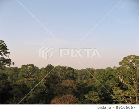 カンボジア、シェムリアップのタ・ケウ。（中央祠堂） 89166667