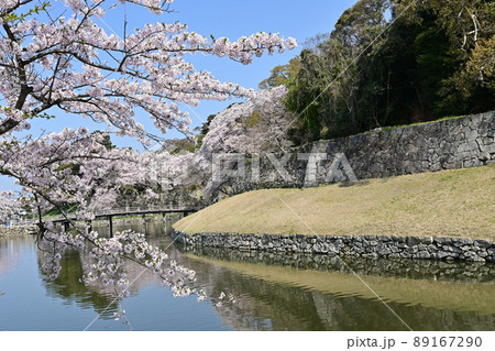 彦根城の大手門橋と桜の花 彦根城の大手門橋と桜の花 89167290