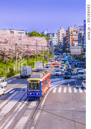 路面電車と飛鳥山公園の桜並木 東京春風景 路面電車と飛鳥山公園の桜並木 東京春風景 89168483