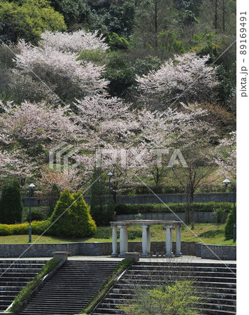 大村市(長崎県) 大村市(長崎県) 89169491