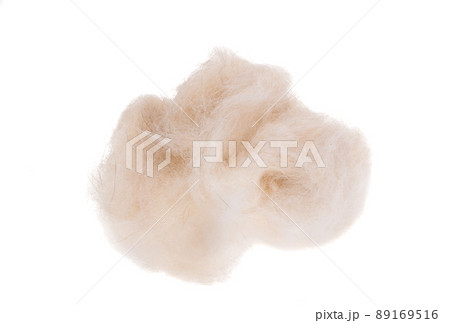 wool isolated wool isolated 89169516