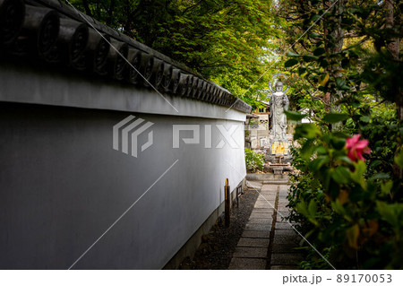 妙心寺退蔵院、水子地蔵へ続く小道に名残の椿 89170053