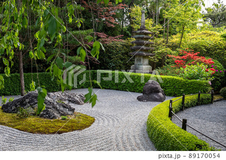 妙心寺退蔵院、ツツジ咲く陰陽の庭の枯山水に新緑の葉桜 89170054