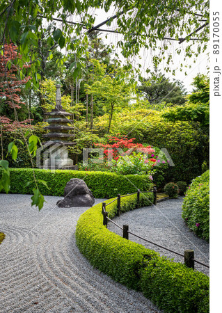 妙心寺退蔵院、ツツジ咲く陰陽の庭の枯山水に新緑の葉桜 89170055