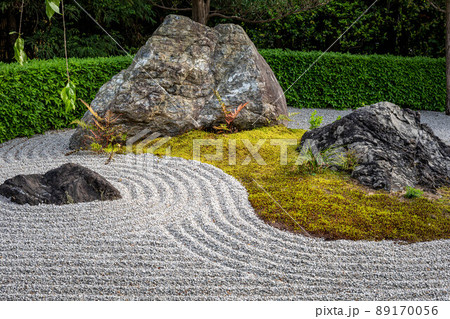 妙心寺退蔵院、陰陽の庭の枯山水に新緑の葉桜 89170056
