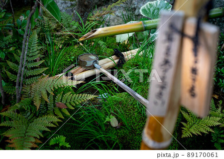 妙心寺退蔵院、余香苑の水琴窟に鮮やかな新緑 89170061