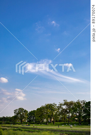 鴨川の初夏、青空に浮かぶクラゲのような雲 89170074