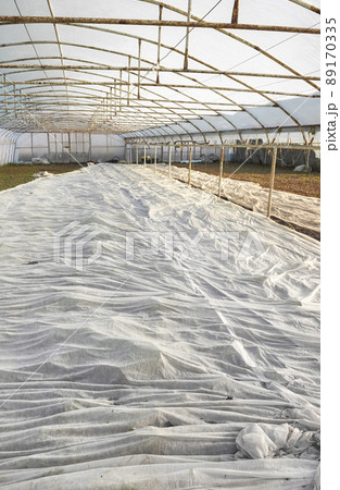 Greenhouse organic vegetable plantation covered with agrotextile. 89170335