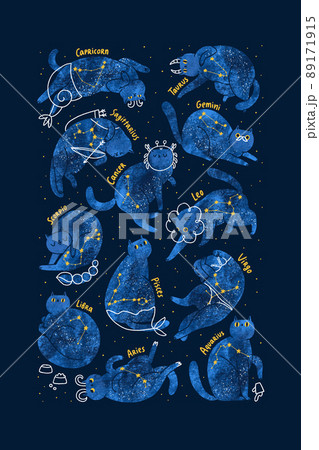 Zodiac cats cute characters illustration 89171915