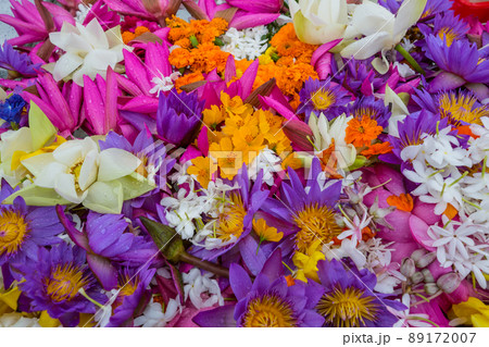 Flowers background 89172007