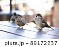 Urban sparrows in a cafe on the table. 89172237