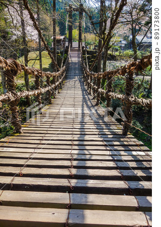 スリル満点!かずら橋【福井県今立郡池田町】 スリル満点!かずら橋【福井県今立郡池田町】 89173800