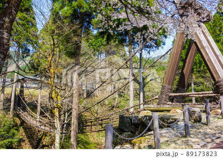 スリル満点!かずら橋【福井県今立郡池田町】 スリル満点!かずら橋【福井県今立郡池田町】 89173823