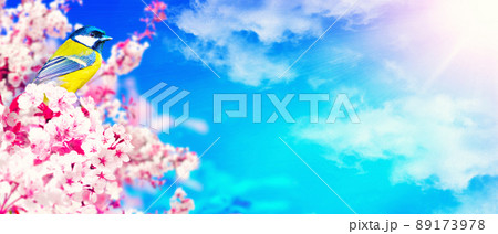 Great tit sitting on a tree branch in spring weather 89173978