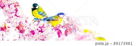 Great tit sitting on a tree branch in spring weather 89173981