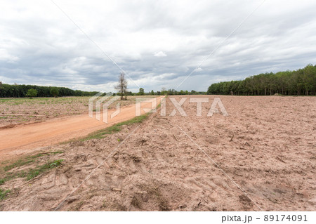 Empty dry cracked swamp reclamation soil, land plot for housing construction project with car tire print in rural area and beautiful blue sky with fresh air Land for sales landscape concept 89174091