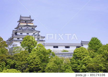 佐賀県唐津市の美しい唐津城 佐賀県唐津市の美しい唐津城 89174106