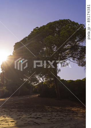 Donana National Park in Spain A UNESCO World Heritage Site 89174381