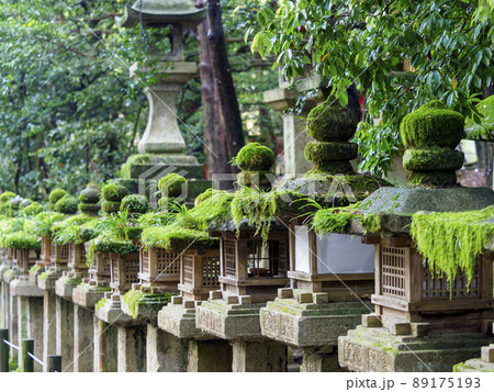 苔の生えた神社の石灯籠 苔の生えた神社の石灯籠 89175193