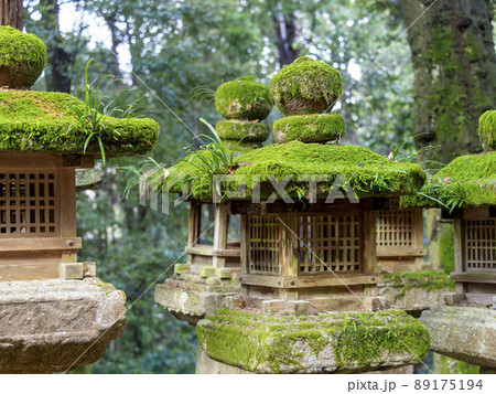 苔の生えた神社の石灯籠の写真素材 [89175194] - PIXTA