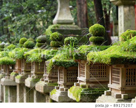 苔の生えた神社の石灯籠の写真素材 [89175207] - PIXTA