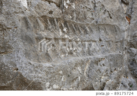 ヤズルカヤ遺跡　大ギャラリーのレリーフ 89175724