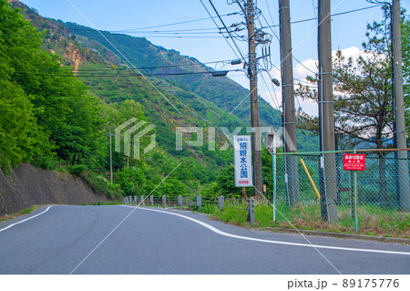 銅親水公園付近の景色 自然の再生 初夏の季節 銅親水公園付近の景色 自然の再生 初夏の季節 89175776