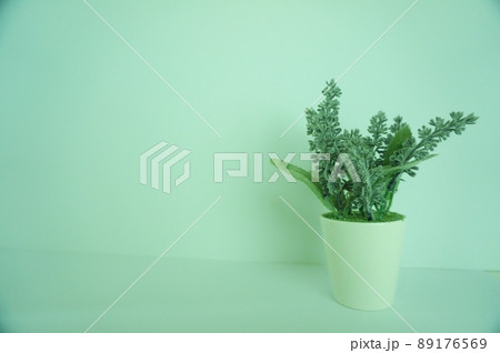 癒し、安眠、リラックス　白バックにラベンダーのフェイクグリーン 89176569