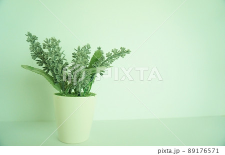 癒し、安眠、リラックス 白バックにラベンダーのフェイクグリーン 癒し、安眠、リラックス 白バックにラベンダーのフェイクグリーン 89176571