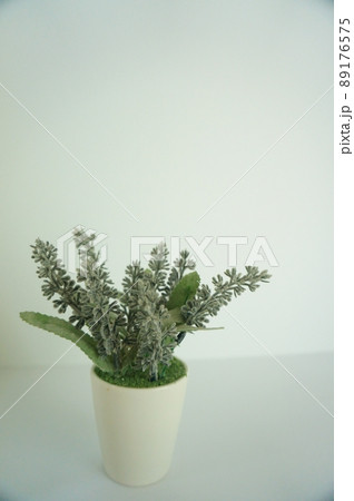 癒し、安眠、リラックス　白バックにラベンダーのフェイクグリーン 89176575