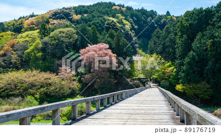 蓬莱橋 蓬莱橋 89176719