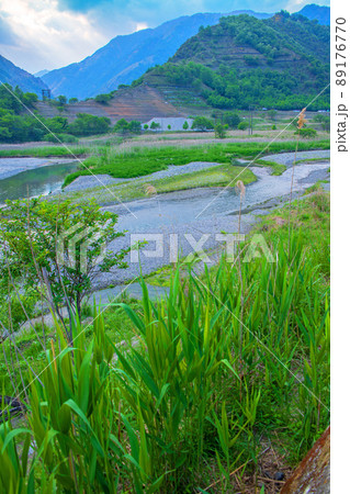 足尾砂防堰堤付近から上流方面の眺め 自然の再生 初夏の風景 足尾砂防堰堤付近から上流方面の眺め 自然の再生 初夏の風景 89176770