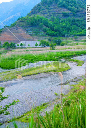 足尾砂防堰堤付近から上流方面の眺め 自然の再生 初夏の風景 足尾砂防堰堤付近から上流方面の眺め 自然の再生 初夏の風景 89176771