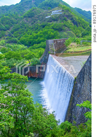 足尾砂防ダム　自然の再生　初夏の風景　　　 89176975