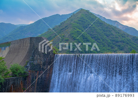 足尾砂防ダム　自然の再生　初夏の風景　　　 89176993