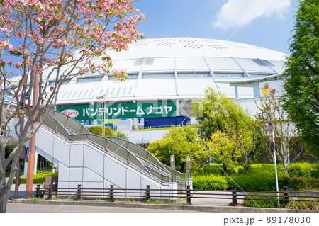バンテリンドームナゴヤ（ナゴヤドーム）とハナミズキ 89178030