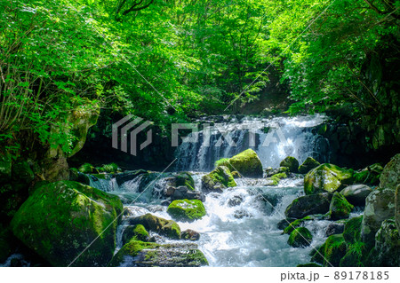 蓼科大滝(夏) 蓼科大滝(夏) 89178185