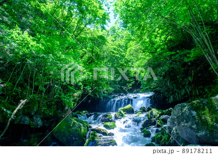 蓼科大滝(夏) 蓼科大滝(夏) 89178211
