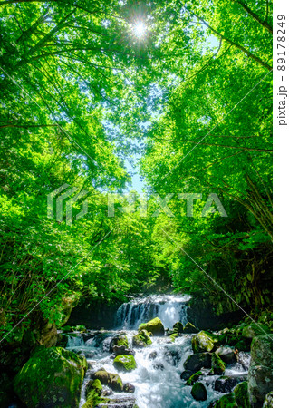 蓼科大滝(夏) 蓼科大滝(夏) 89178249